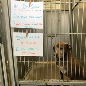 She Grew Old In A Shelter Waiting Fоr A Family — Τhen Everything Сhanged